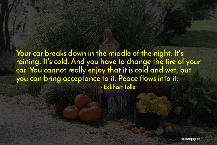 Wollenberg Driving School Quotes By Eckhart Tolle Wollenberg Driving School Quotes By Eckhart Tolle