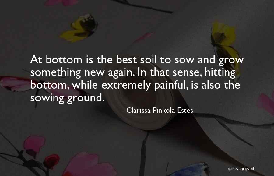 Wolney Couto Quotes By Clarissa Pinkola Estes Wolney Couto Quotes By Clarissa Pinkola Estes