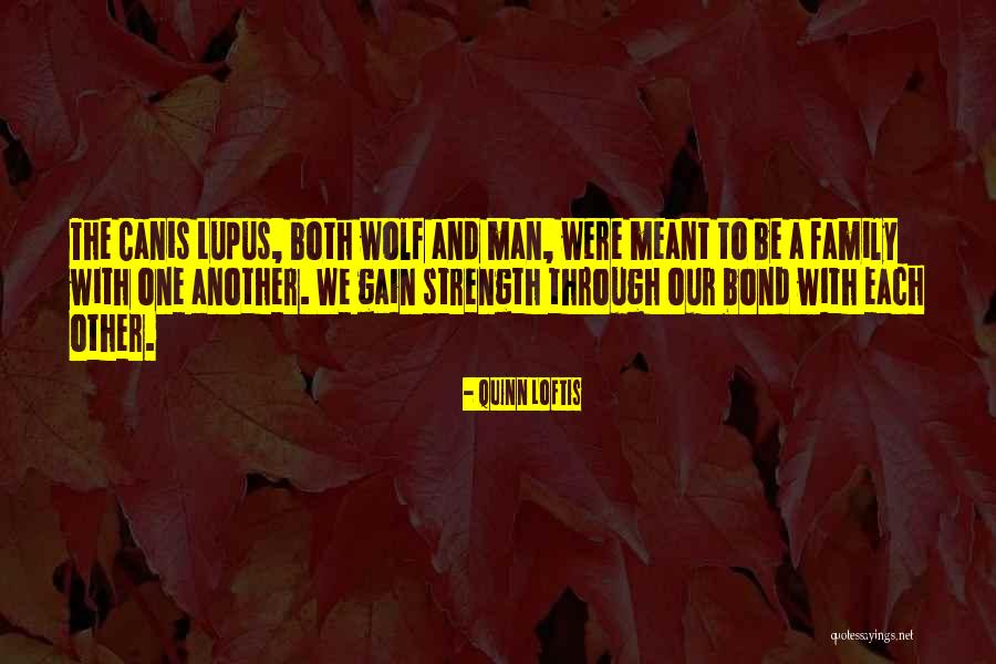 Wolves And Family Quotes By Quinn Loftis Wolves And Family Quotes By Quinn Loftis