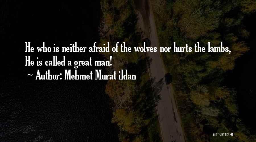 Wolves And Lambs Quotes By Mehmet Murat Ildan