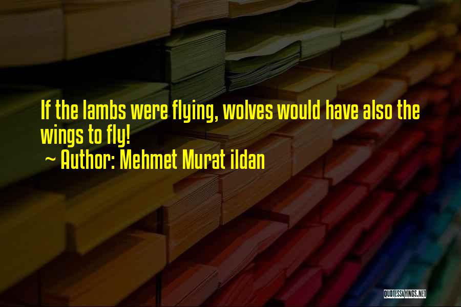 Wolves And Lambs Quotes By Mehmet Murat Ildan