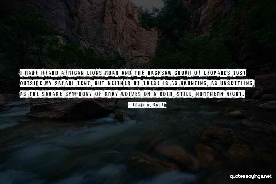 Wolves And Lions Quotes By Erwin A. Bauer Wolves And Lions Quotes By Erwin A. Bauer