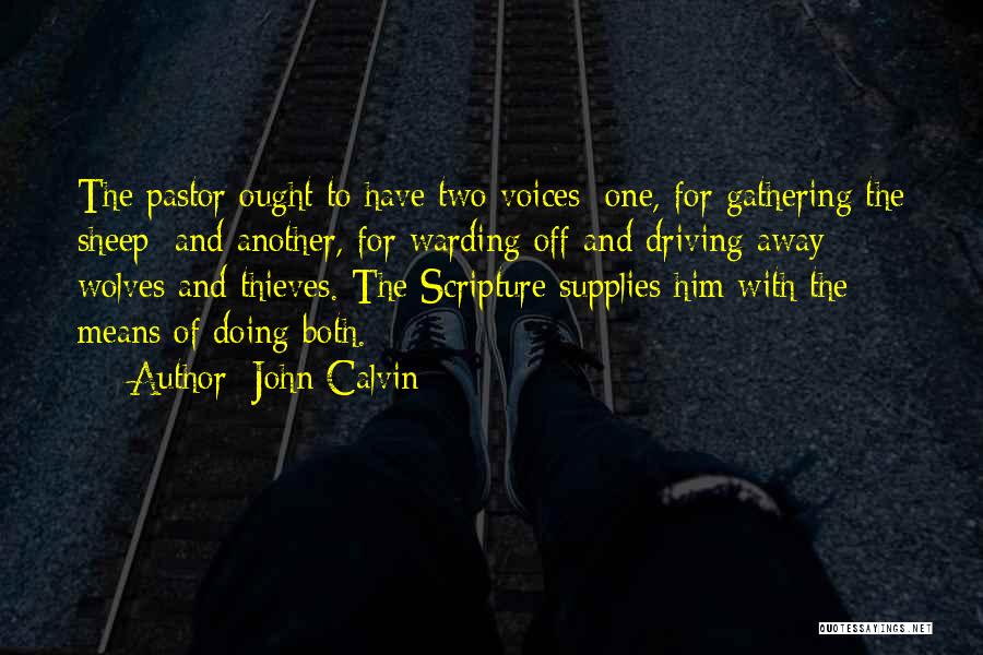 Wolves And Sheep Quotes By John Calvin