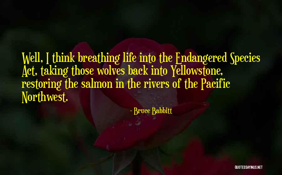 Wolves In Yellowstone Quotes By Bruce Babbitt