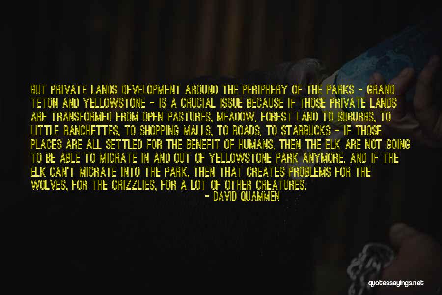 Wolves In Yellowstone Quotes By David Quammen