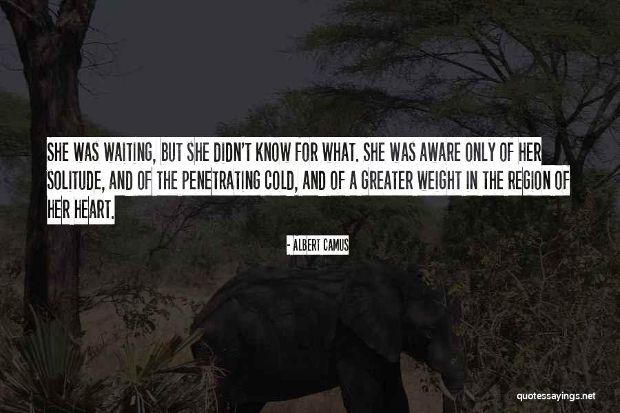Woman In Waiting Quotes By Albert Camus Woman In Waiting Quotes By Albert Camus