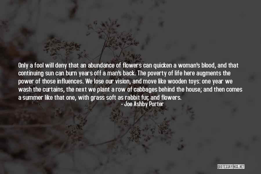 Woman With Vision Quotes By Joe Ashby Porter