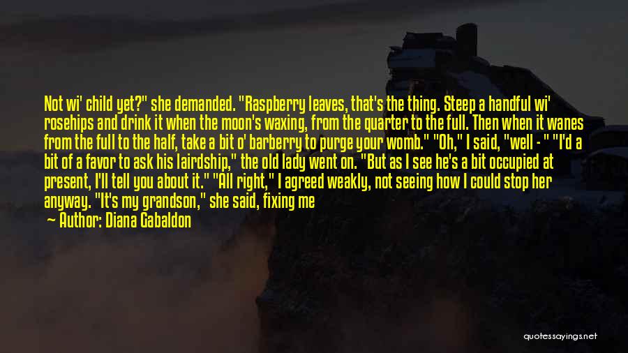Womb Quotes By Diana Gabaldon