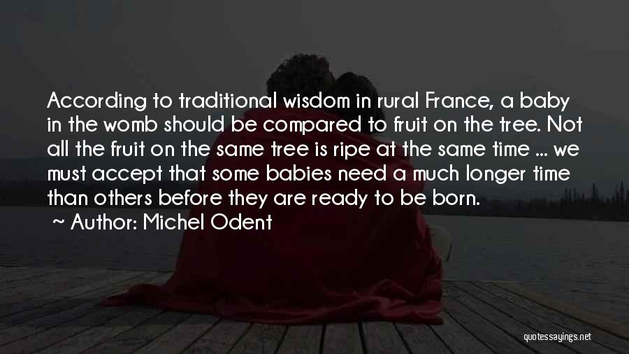 Womb Wisdom Quotes By Michel Odent