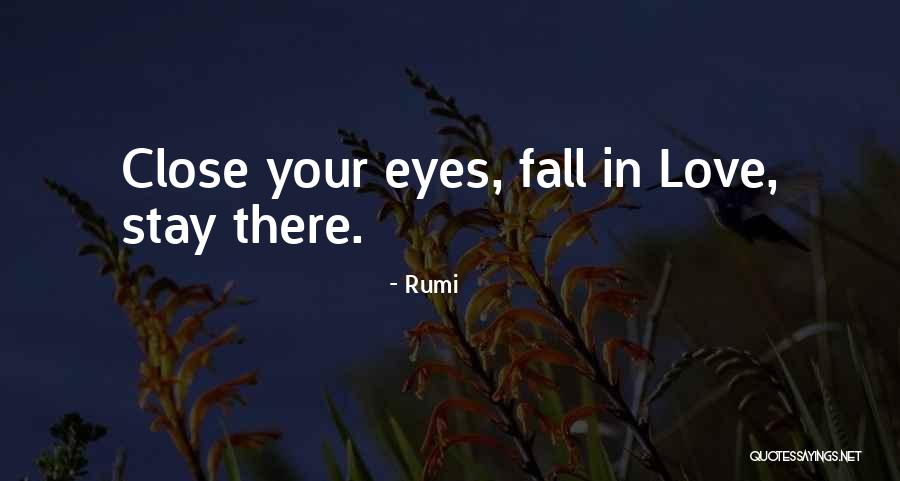 Wombats As Pets Quotes By Rumi Wombats As Pets Quotes By Rumi