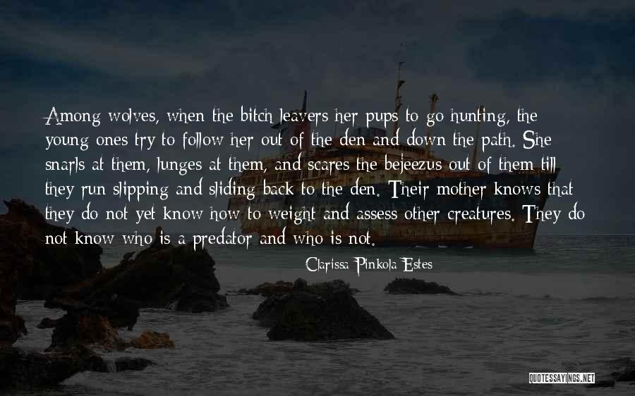 Women And Wolves Quotes By Clarissa Pinkola Estes Women And Wolves Quotes By Clarissa Pinkola Estes