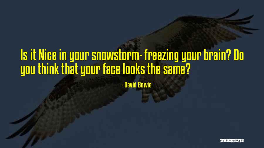 Womens Minds Quotes By David Bowie Womens Minds Quotes By David Bowie