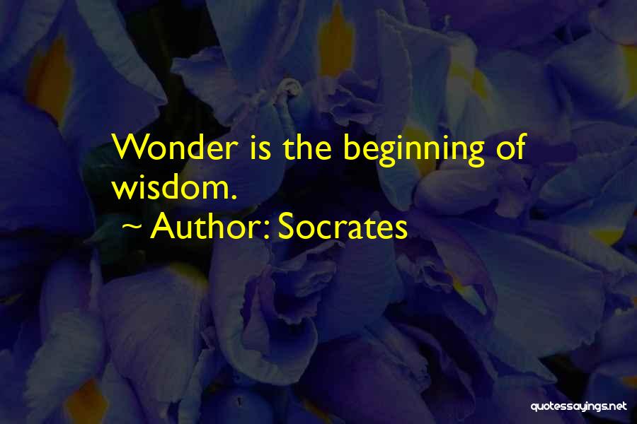 Wonder Amazement Quotes By Socrates