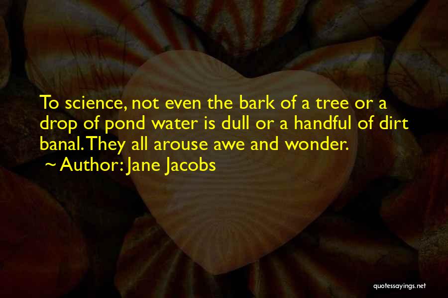 Wonder And Awe Quotes By Jane Jacobs