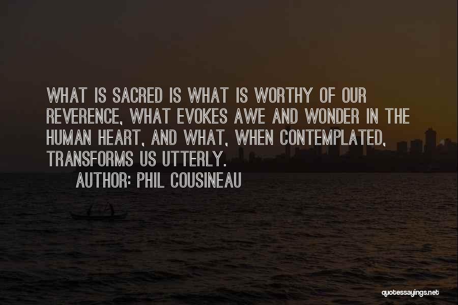 Wonder And Awe Quotes By Phil Cousineau