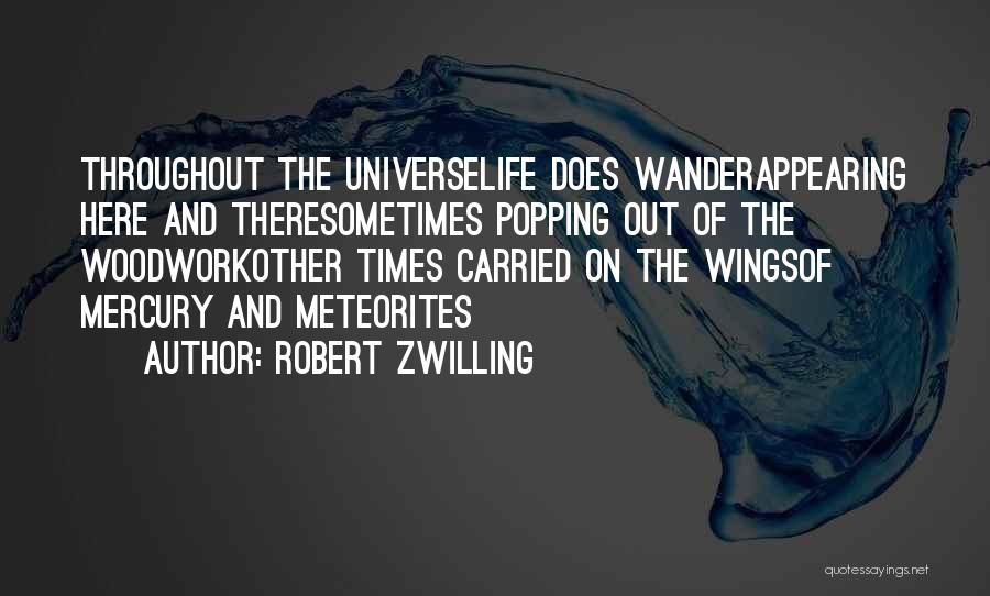 Wonder And Wander Quotes By Robert Zwilling