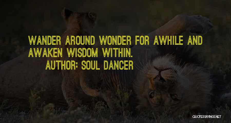 Wonder And Wander Quotes By Soul Dancer