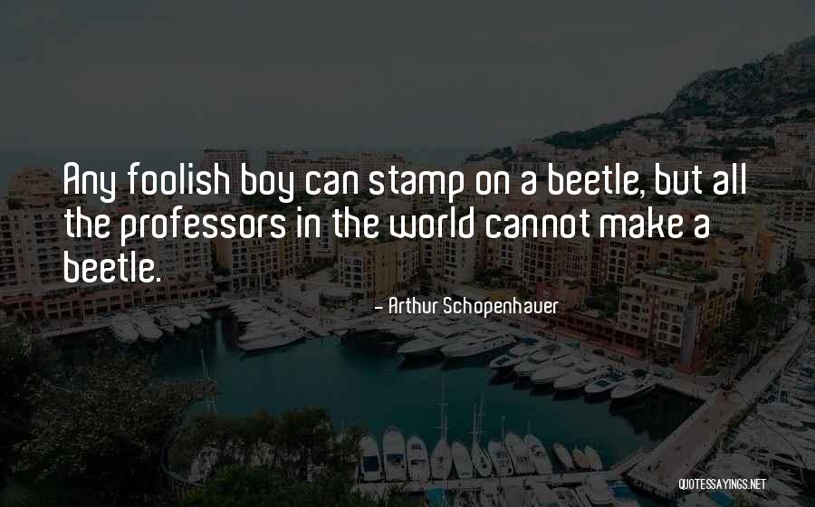 Wonder Boy Quotes By Arthur Schopenhauer