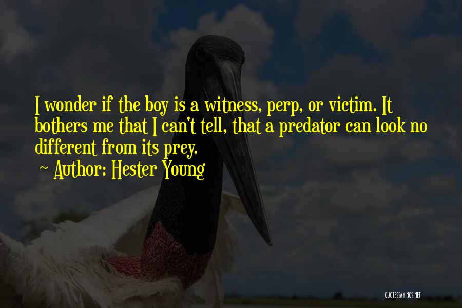 Wonder Boy Quotes By Hester Young