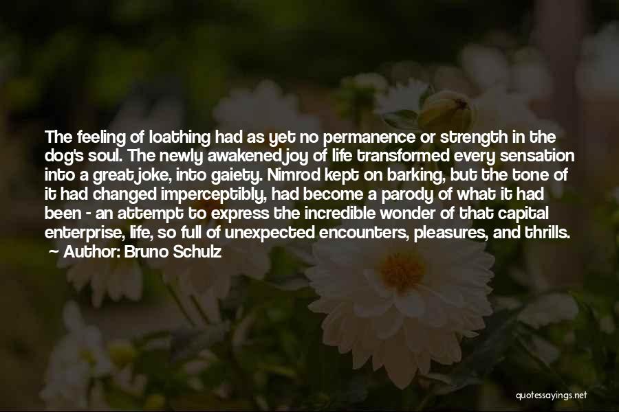 Wonder Dog Quotes By Bruno Schulz