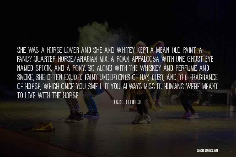 Wonder Horse Of Old Quotes By Louise Erdrich Wonder Horse Of Old Quotes By Louise Erdrich