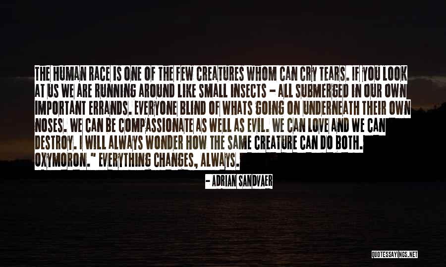 Wonder Important Quotes By Adrian Sandvaer Wonder Important Quotes By Adrian Sandvaer