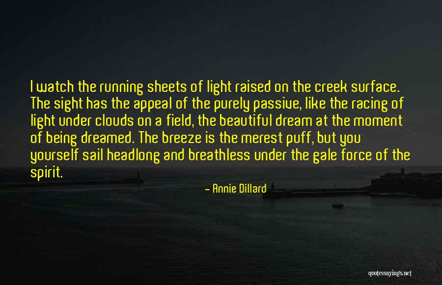 Wonder Of Nature Quotes By Annie Dillard Wonder Of Nature Quotes By Annie Dillard