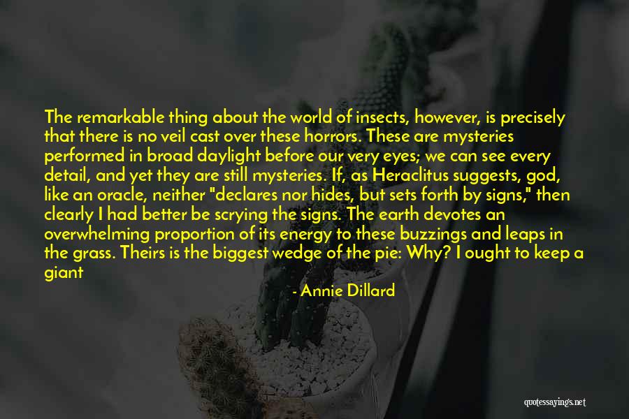 Wonder Of Nature Quotes By Annie Dillard Wonder Of Nature Quotes By Annie Dillard
