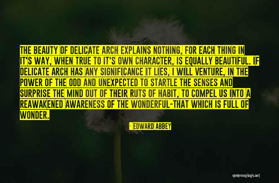 Wonder Of Nature Quotes By Edward Abbey