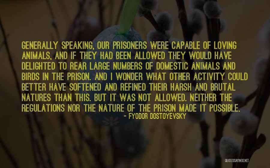 Wonder Of Nature Quotes By Fyodor Dostoyevsky Wonder Of Nature Quotes By Fyodor Dostoyevsky