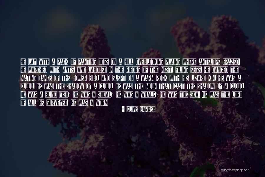 Wonder Of Sea Life Quotes By Clive Barker Wonder Of Sea Life Quotes By Clive Barker