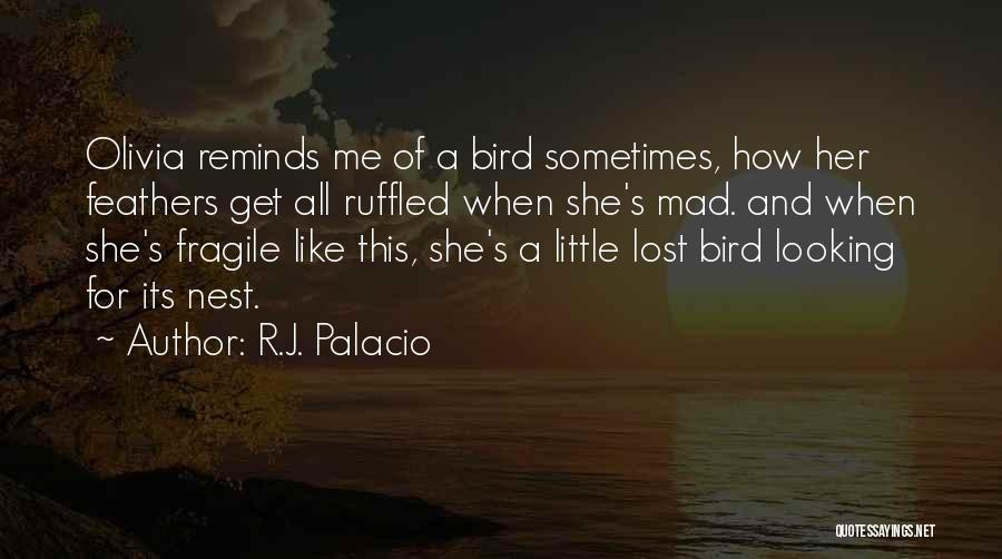 Wonder Palacio Quotes By R.J. Palacio