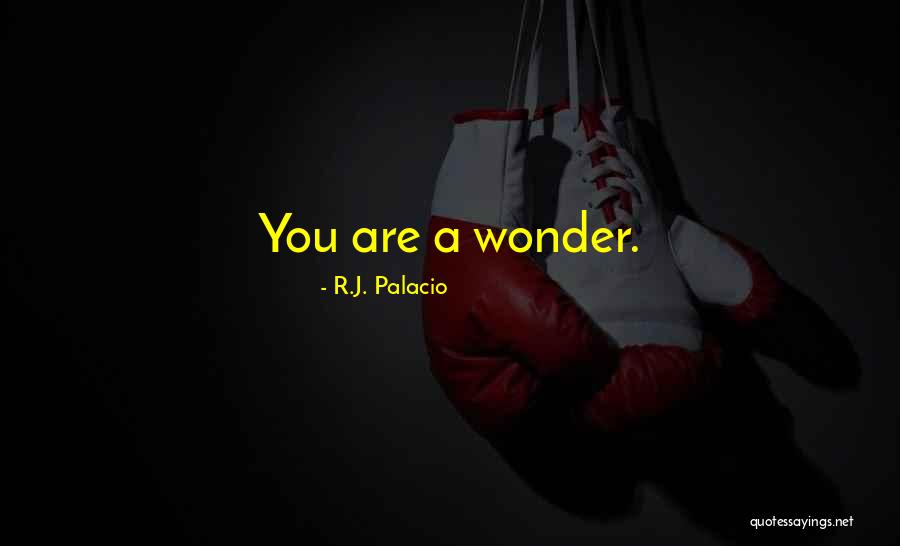 Wonder Palacio Quotes By R.J. Palacio