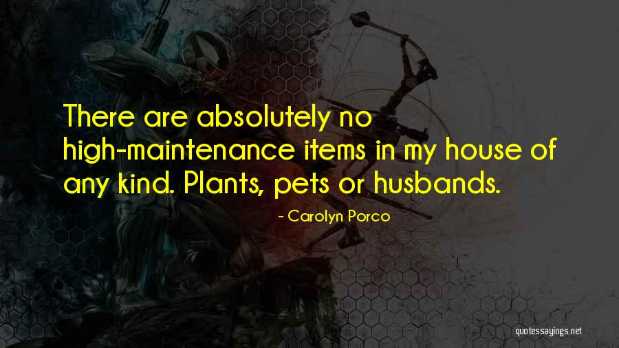 Wonder Pets Quotes By Carolyn Porco Wonder Pets Quotes By Carolyn Porco