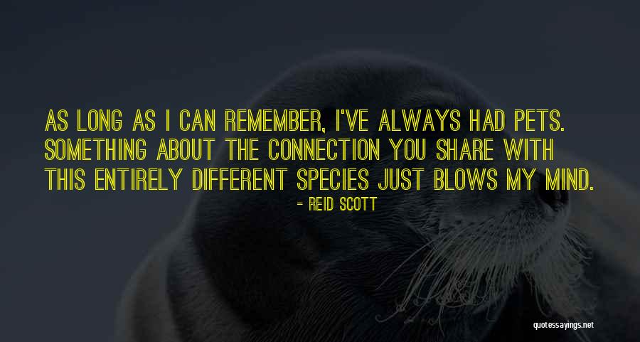 Wonder Pets Quotes By Reid Scott Wonder Pets Quotes By Reid Scott