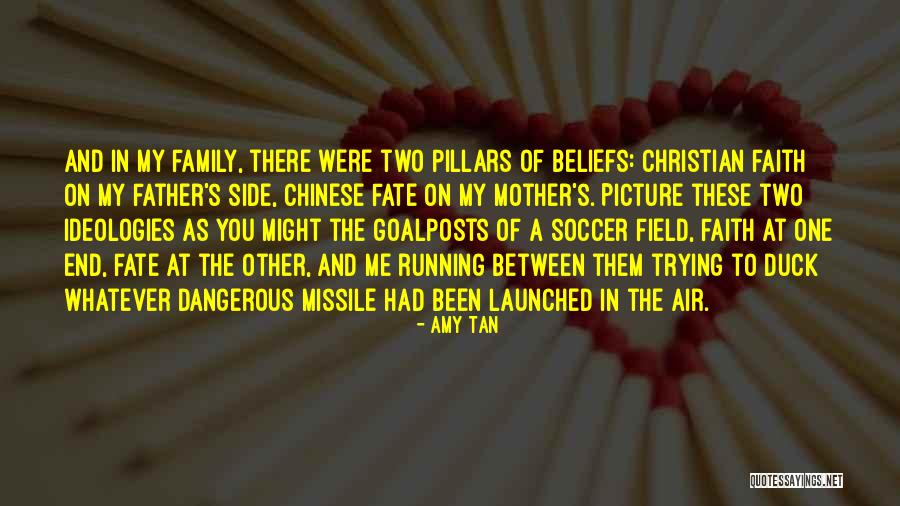 Wonder Pillars Quotes By Amy Tan Wonder Pillars Quotes By Amy Tan
