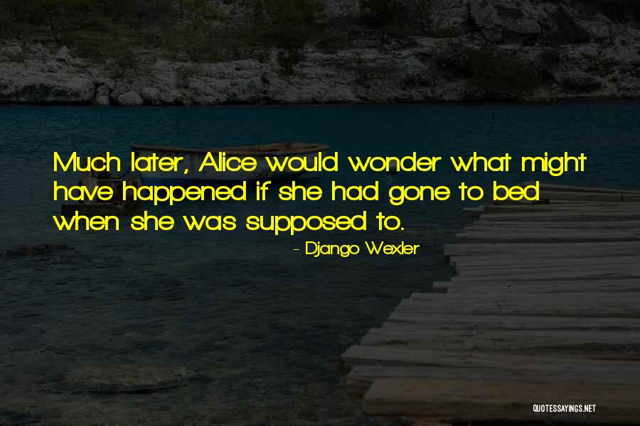 Wonder What Happened Quotes By Django Wexler Wonder What Happened Quotes By Django Wexler