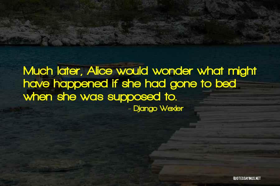 Wonder What Happened Quotes By Django Wexler