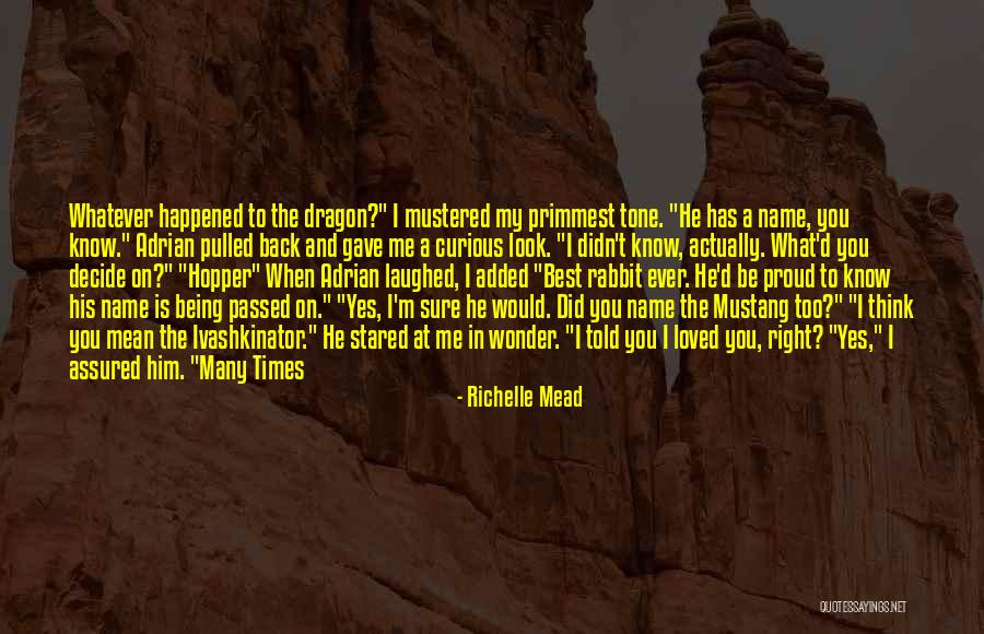 Wonder What Happened Quotes By Richelle Mead Wonder What Happened Quotes By Richelle Mead