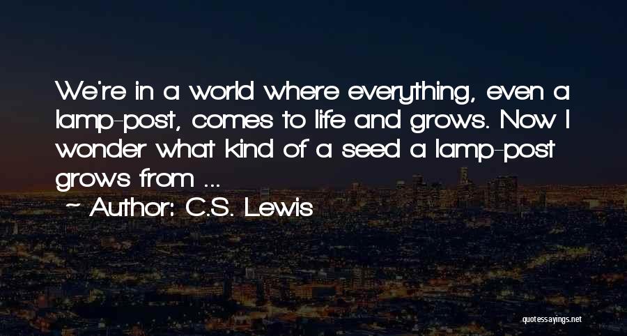 Wonder World Quotes By C.S. Lewis