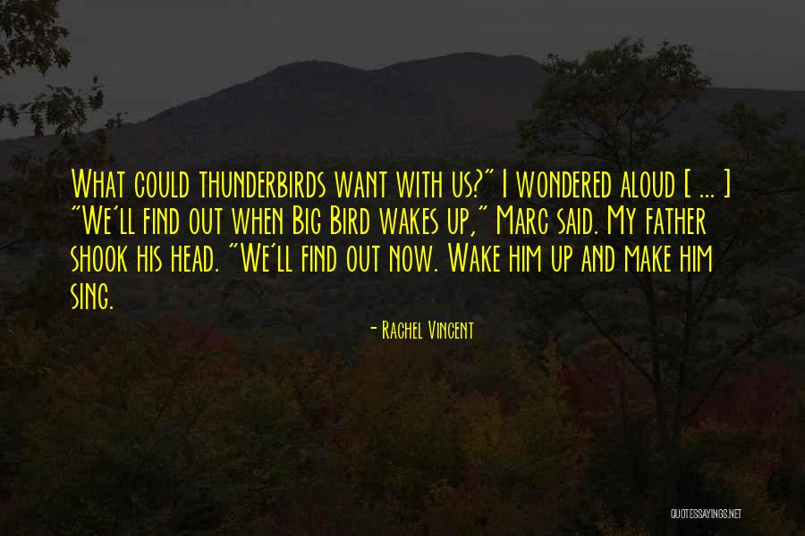 Wondered Aloud Quotes By Rachel Vincent Wondered Aloud Quotes By Rachel Vincent