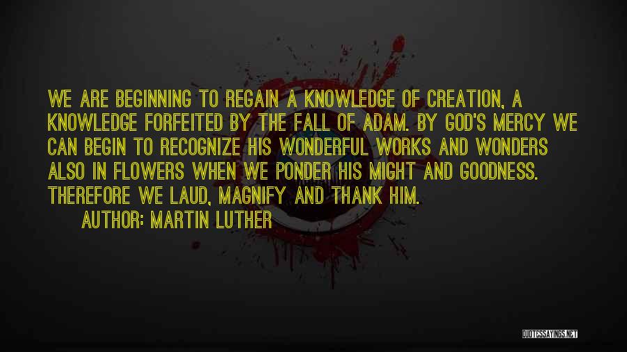 Wonderful Creation Of God Quotes By Martin Luther