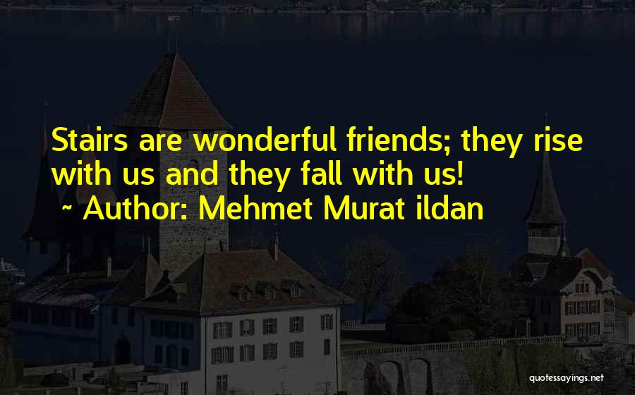 Wonderful Friends Quotes By Mehmet Murat Ildan