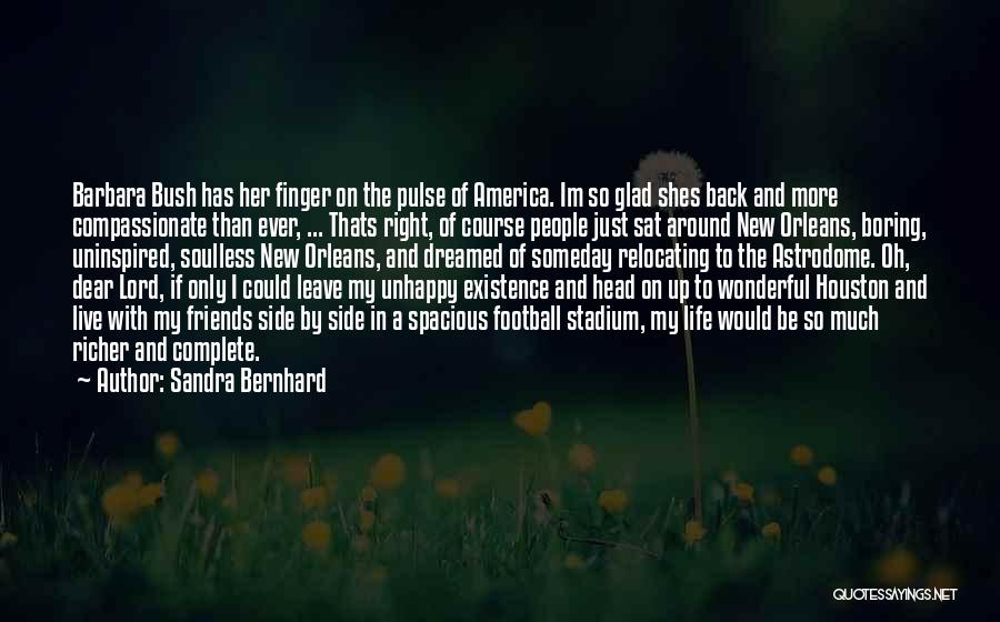Wonderful Friends Quotes By Sandra Bernhard