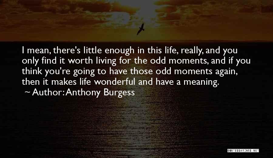 Wonderful Moments Quotes By Anthony Burgess