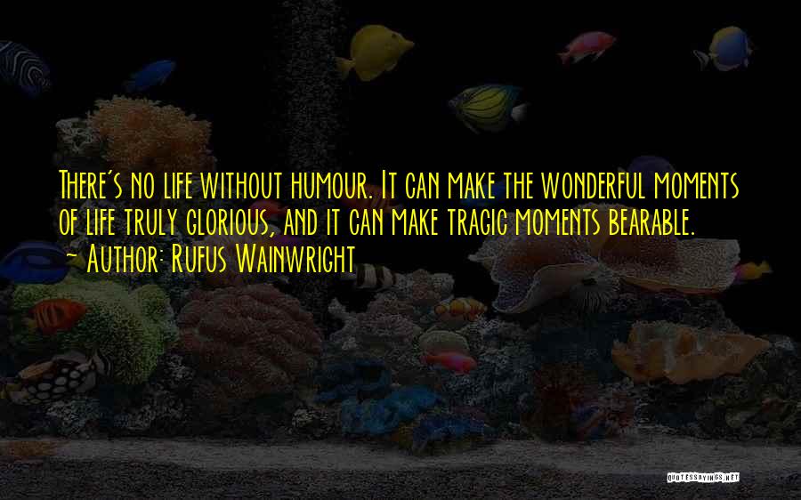 Wonderful Moments Quotes By Rufus Wainwright