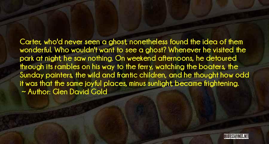 Wonderful Places Quotes By Glen David Gold