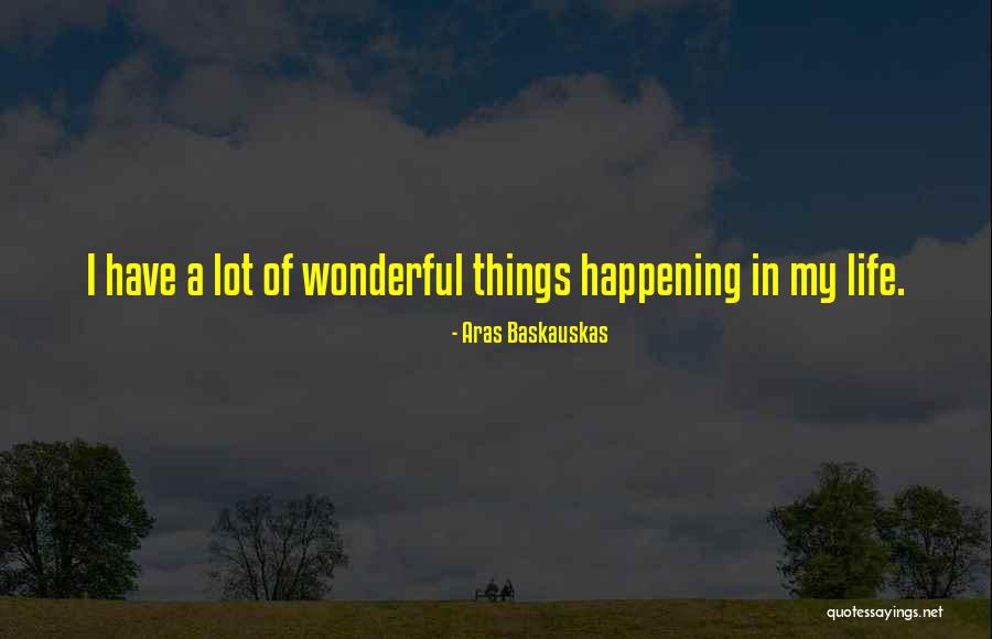 Wonderful Things In Life Quotes By Aras Baskauskas Wonderful Things In Life Quotes By Aras Baskauskas