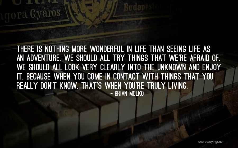 Wonderful Things In Life Quotes By Brian Molko Wonderful Things In Life Quotes By Brian Molko