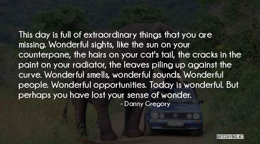 Wonderful Things In Life Quotes By Danny Gregory Wonderful Things In Life Quotes By Danny Gregory